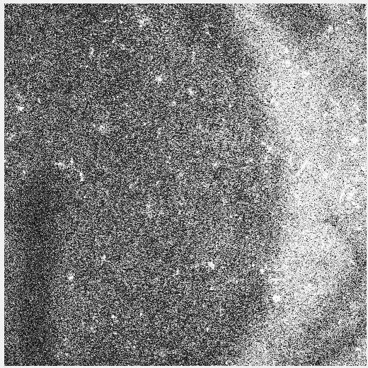 Figure 21