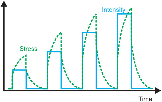 Figure 24