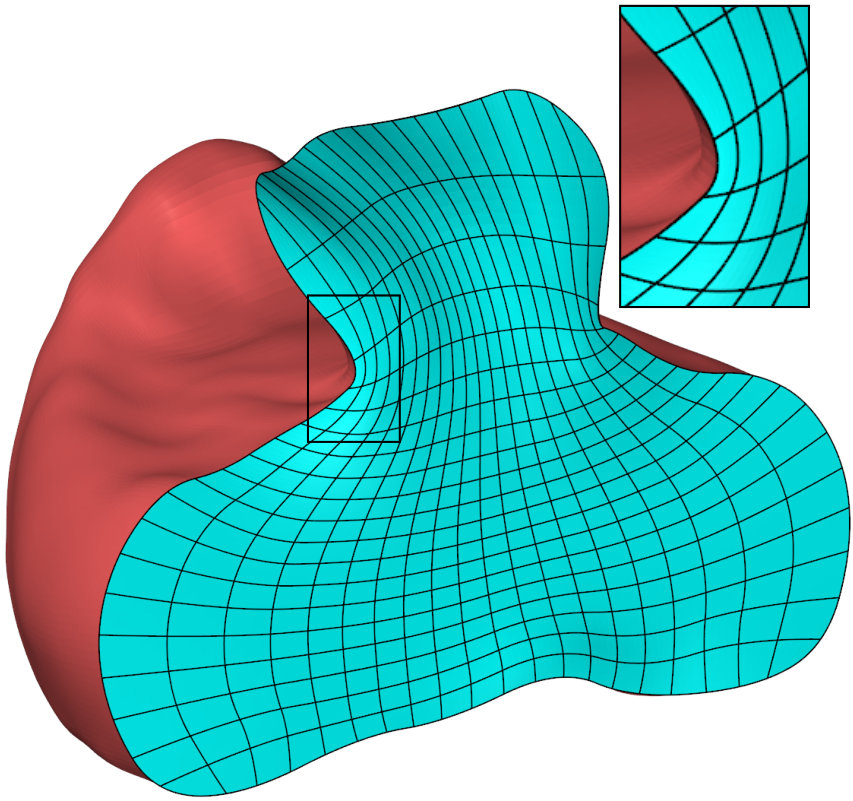 Figure 29