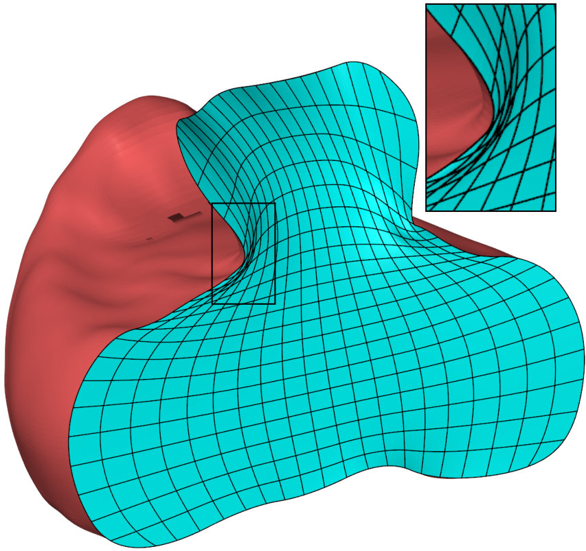 Figure 31