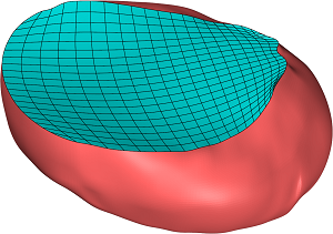 Figure 36