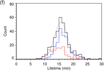 Figure 16