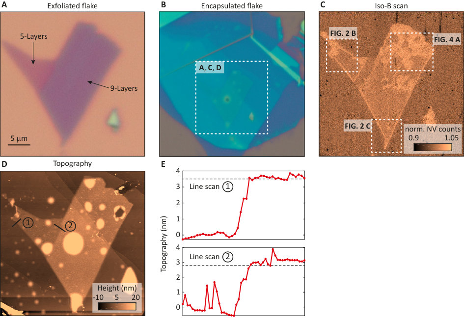 Figure 4