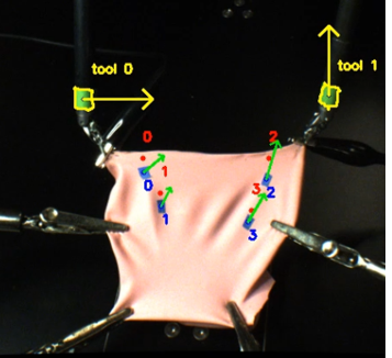 Figure 19