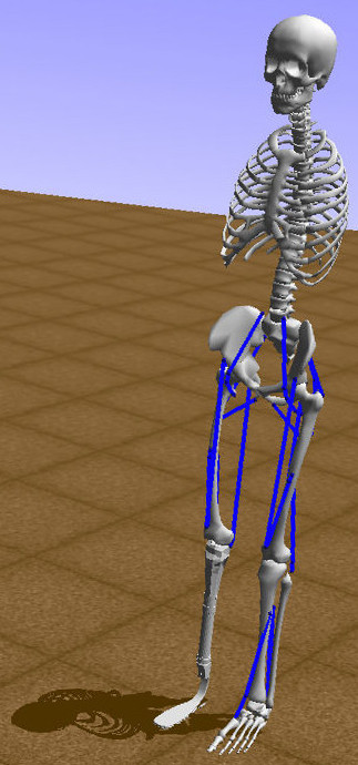 Figure 31