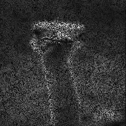 Figure 37