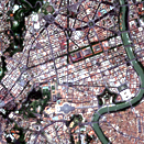 Figure 21