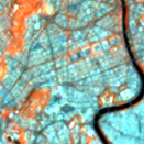 Figure 22