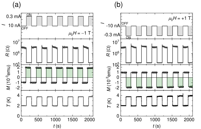 Figure 11