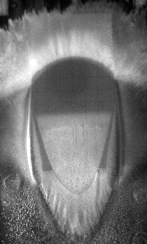 Figure 16
