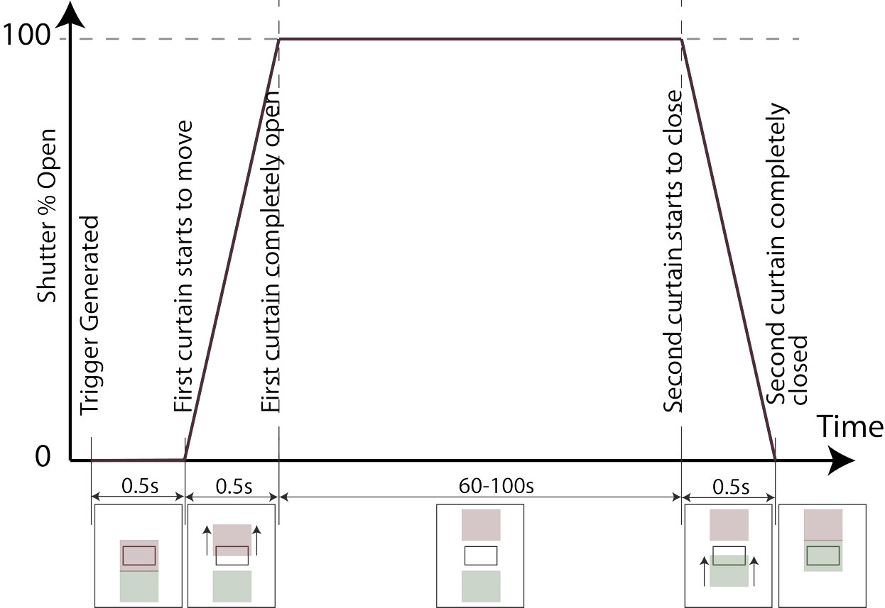 Figure 31