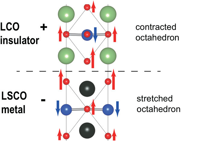 Figure 13