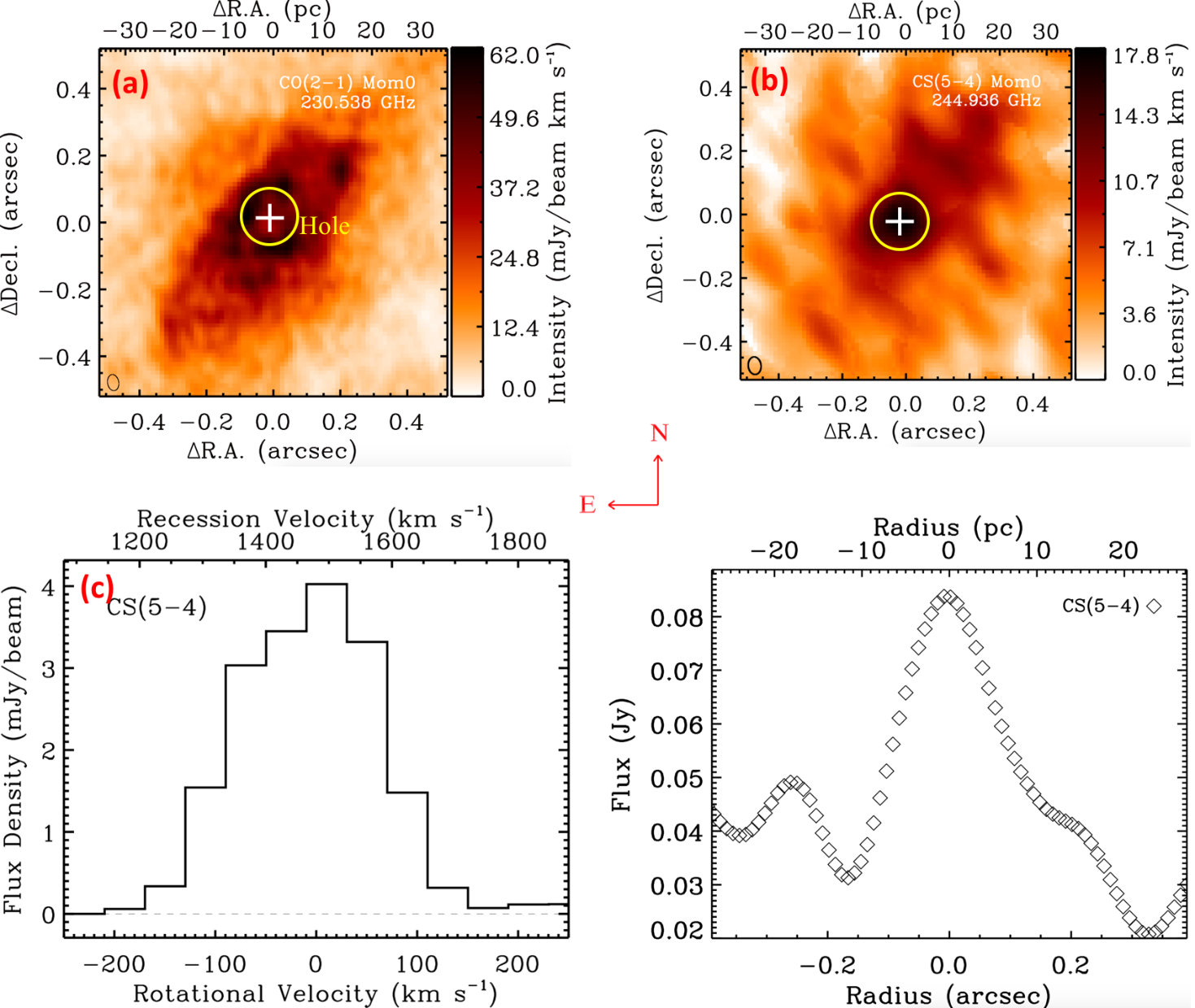 Figure 12
