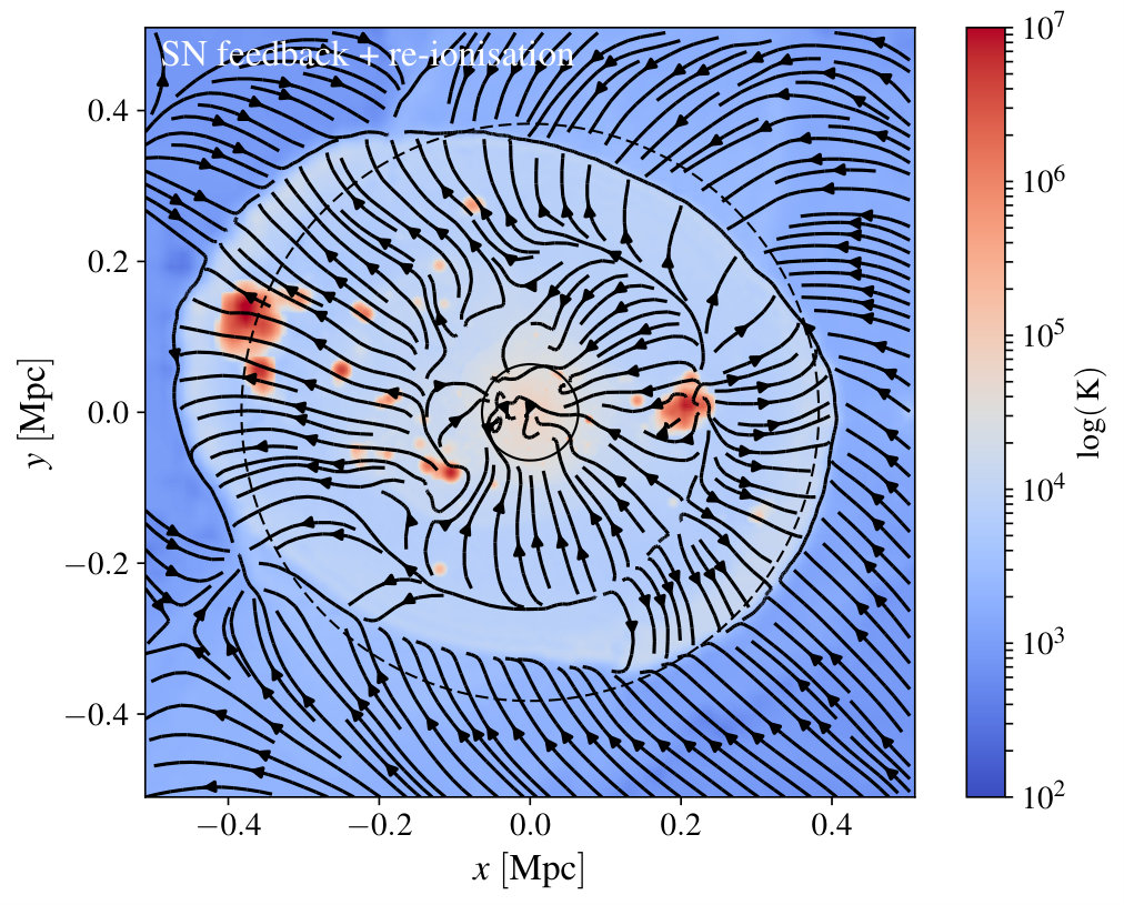 Figure 31