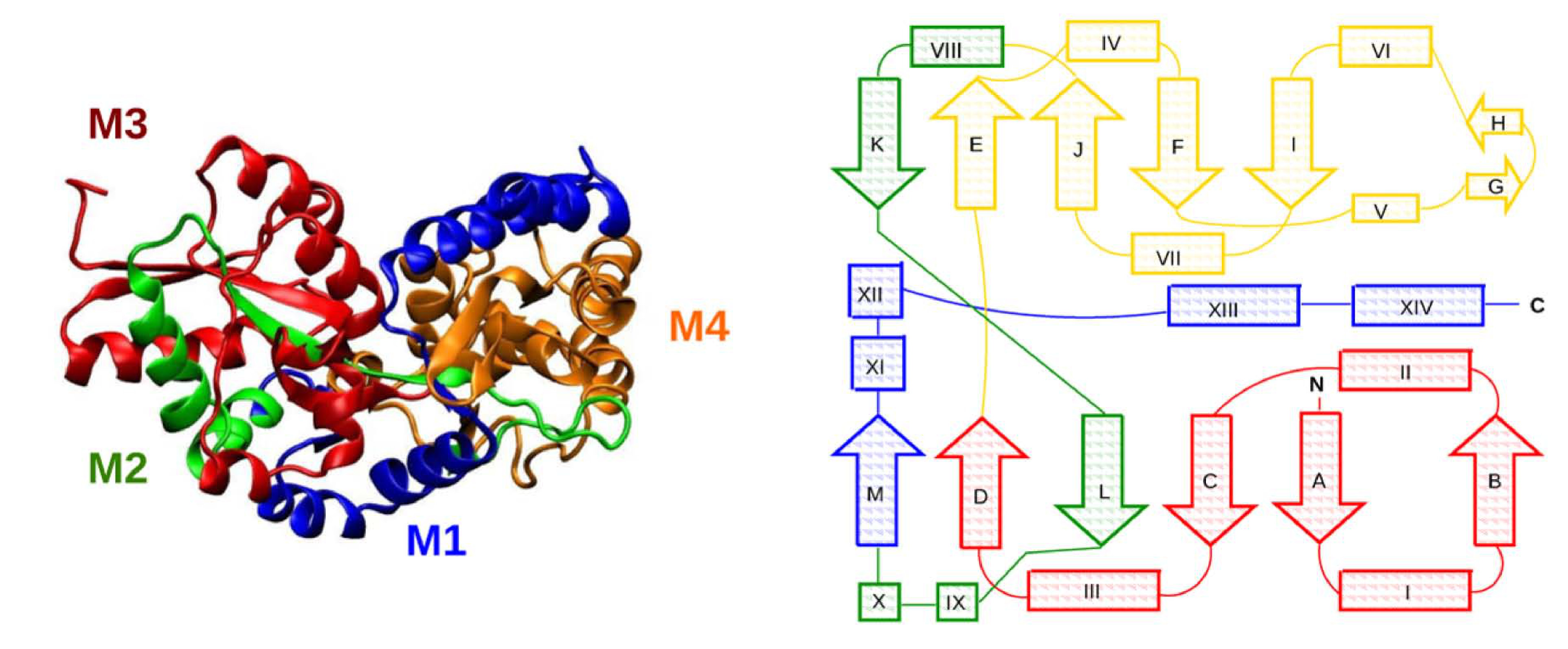 Figure 38