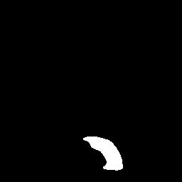 Figure 19