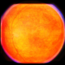 Figure 9