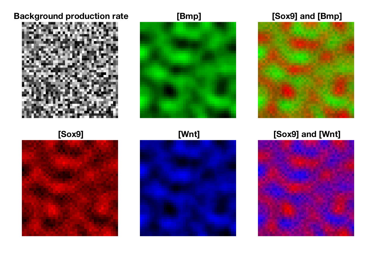 Figure 19