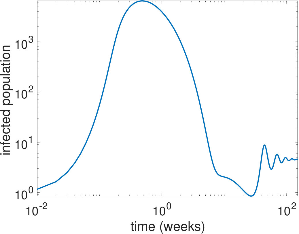 Figure 19