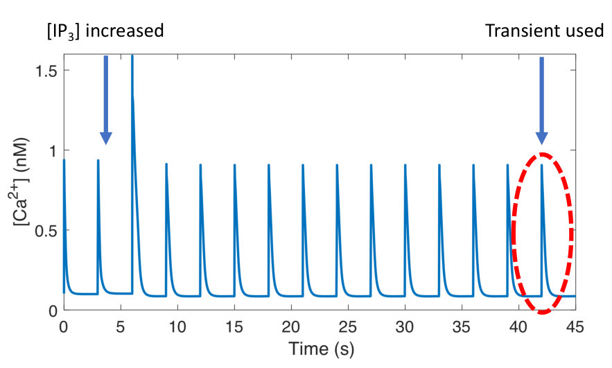 Figure 26