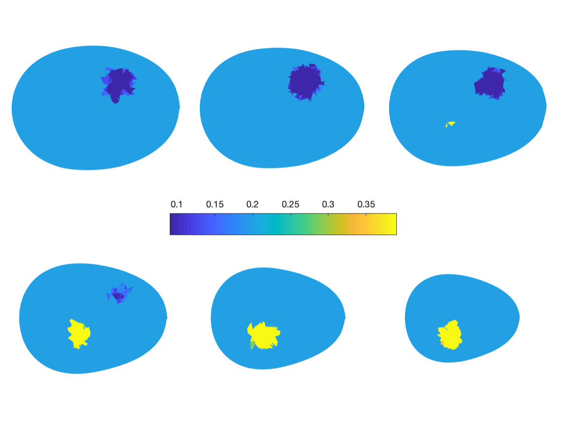 Figure 5