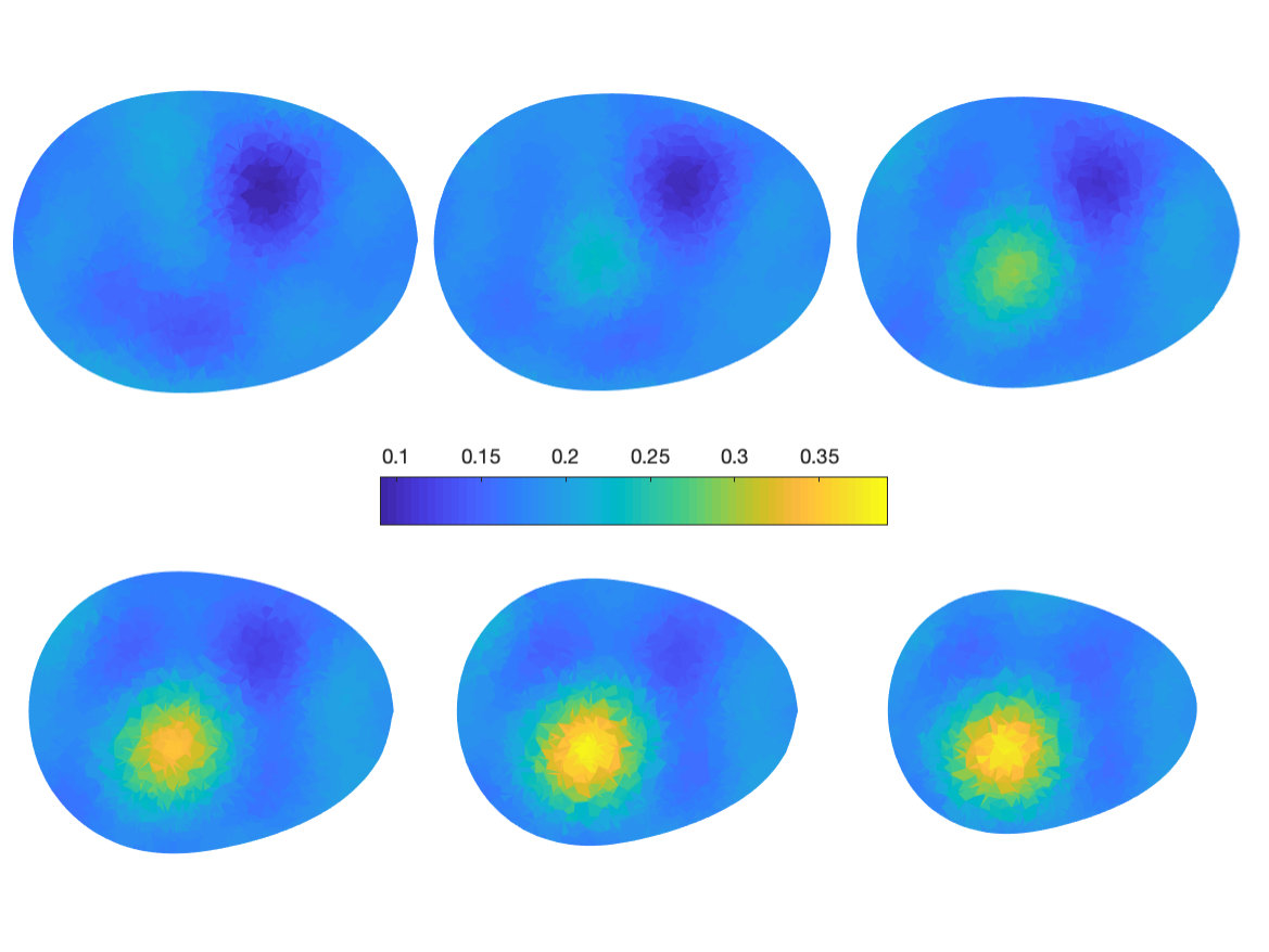 Figure 5