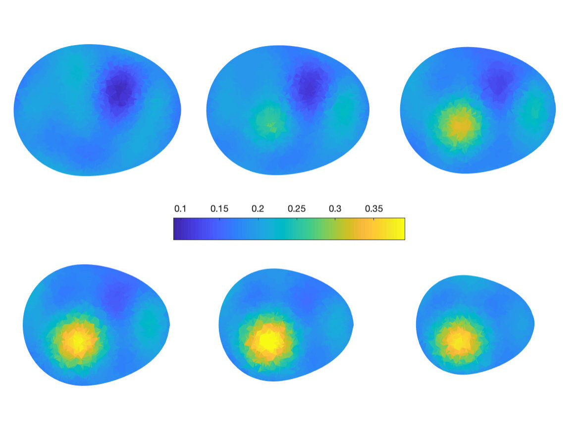 Figure 5