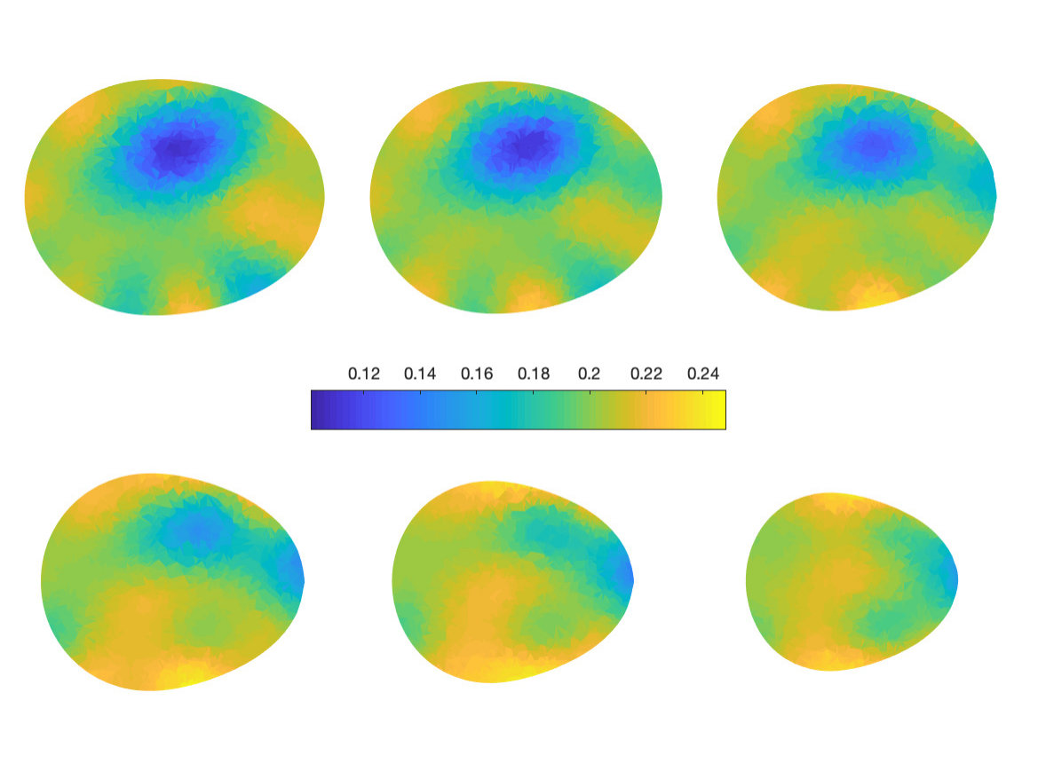 Figure 5