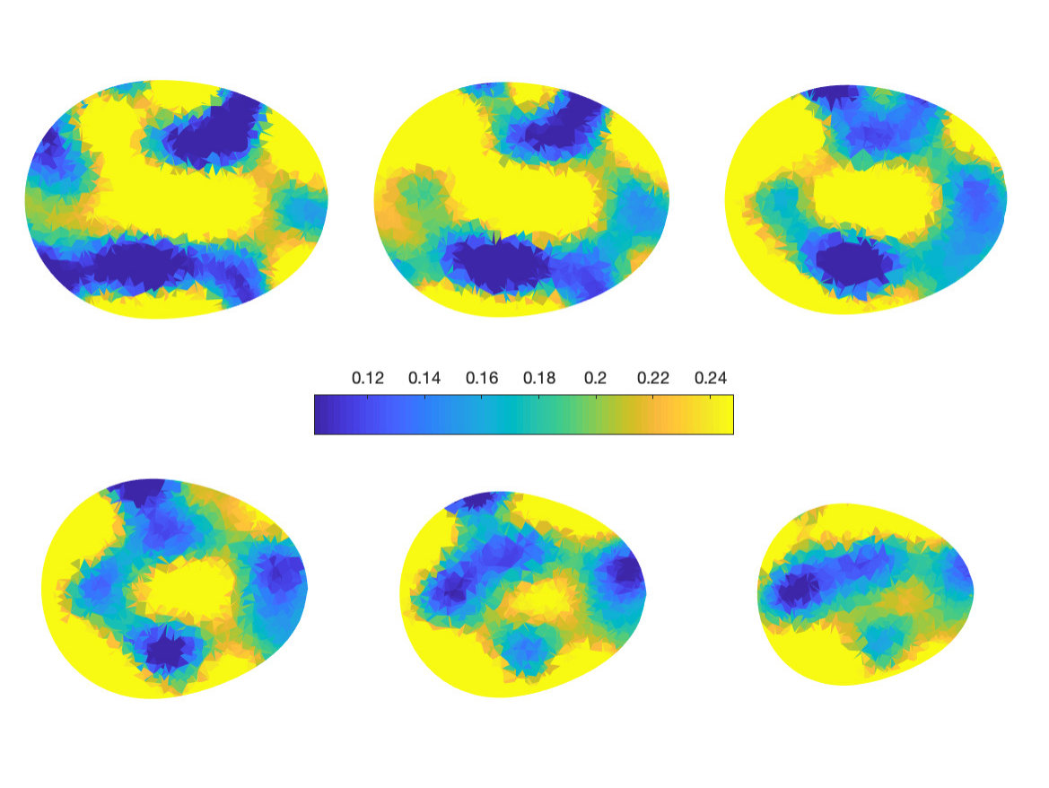Figure 5