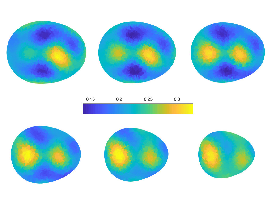 Figure 5