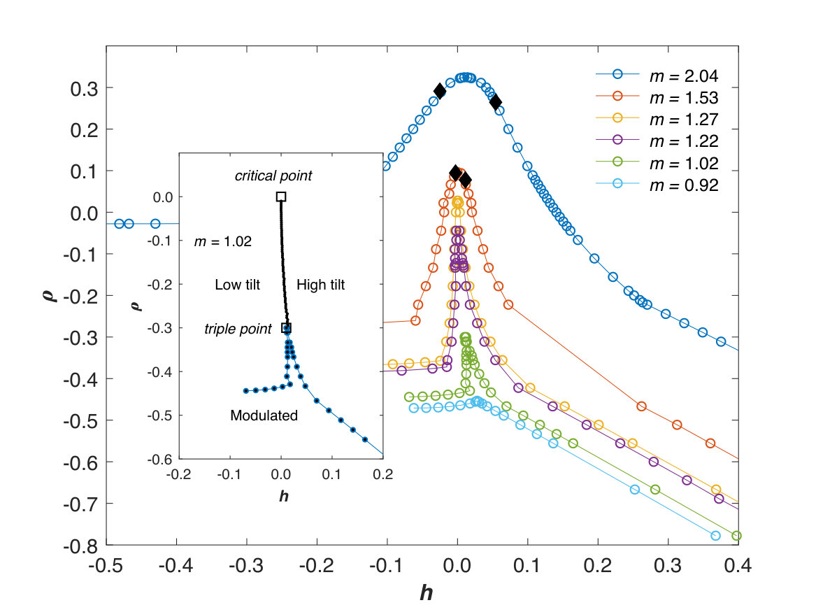 Figure 19
