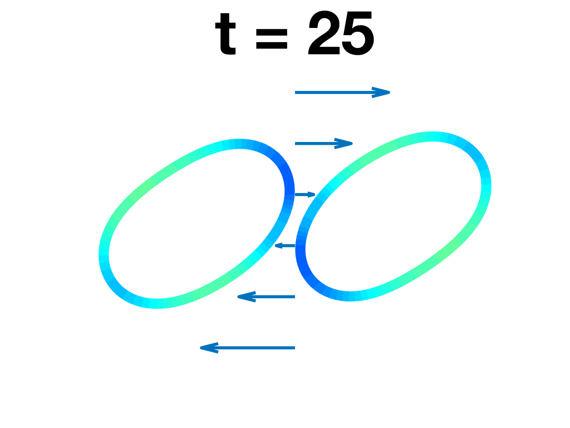 Figure 24