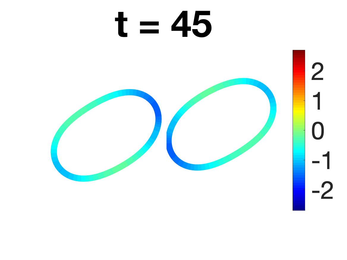 Figure 28