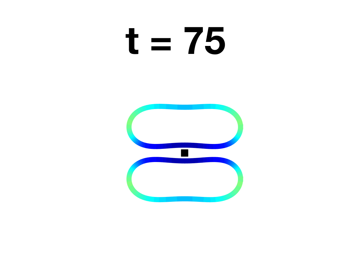 Figure 36