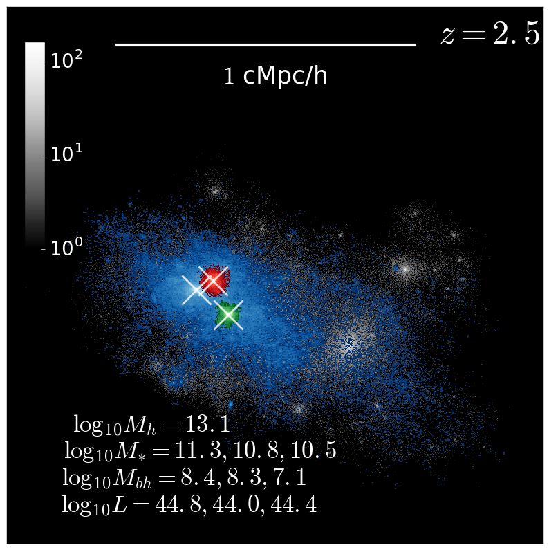 Figure 31