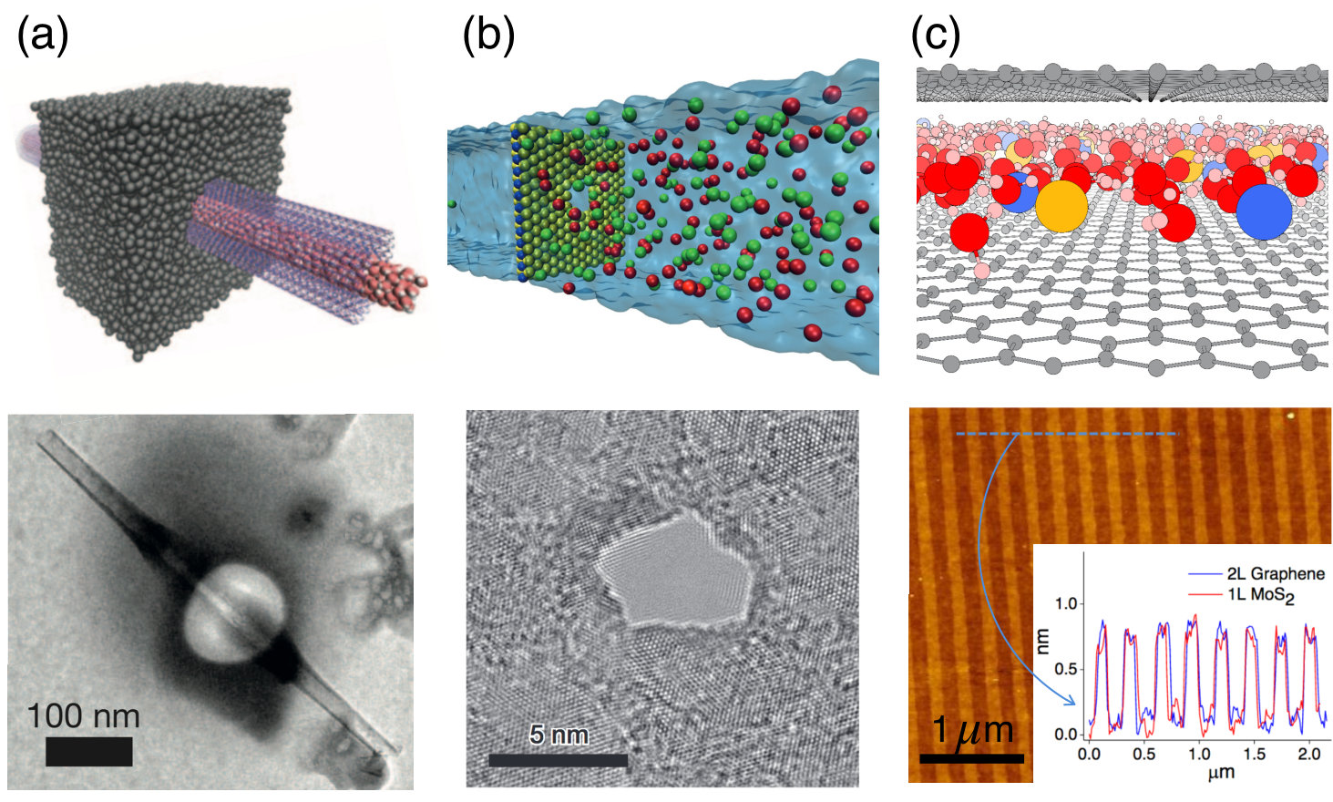 Figure 14