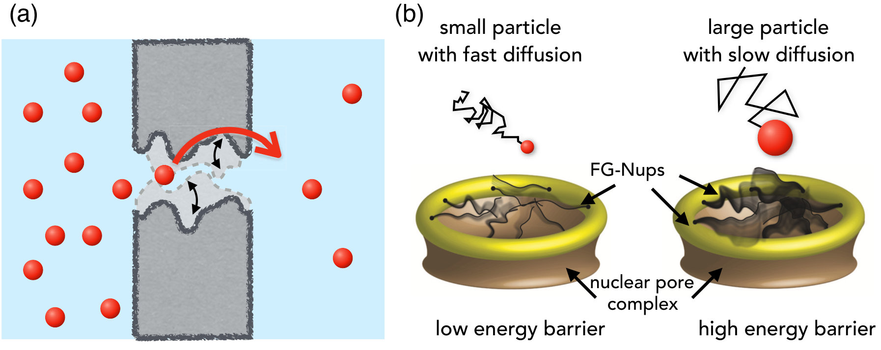 Figure 16