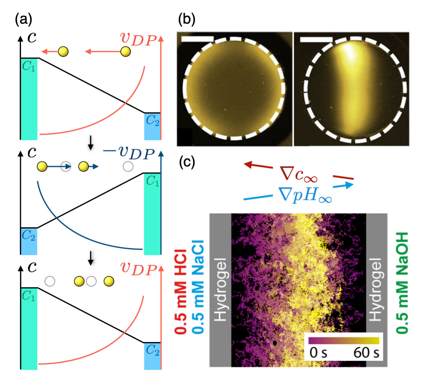 Figure 21