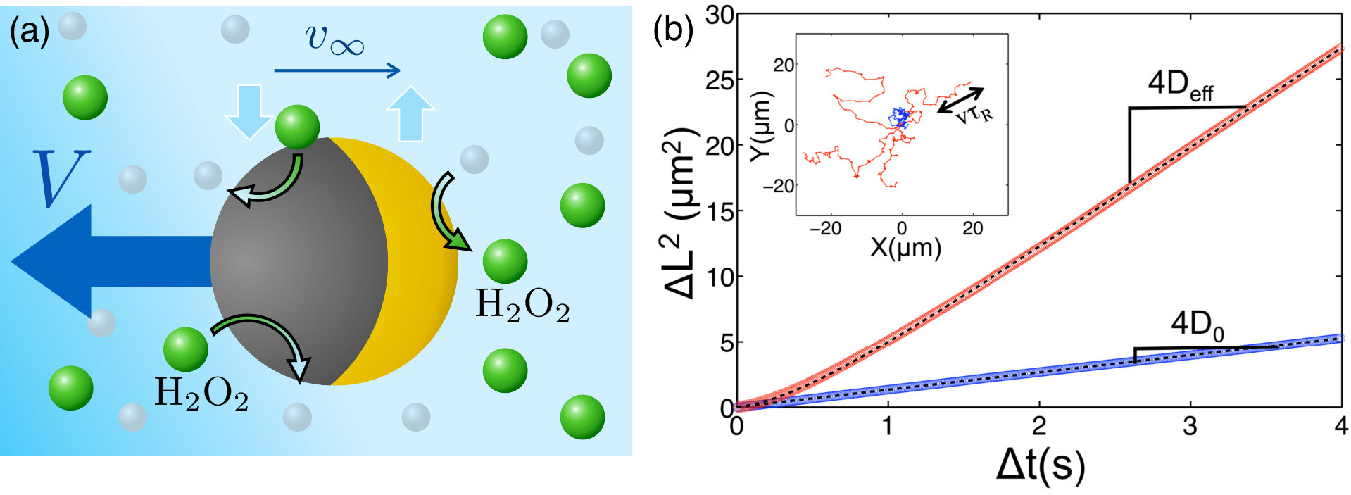 Figure 22