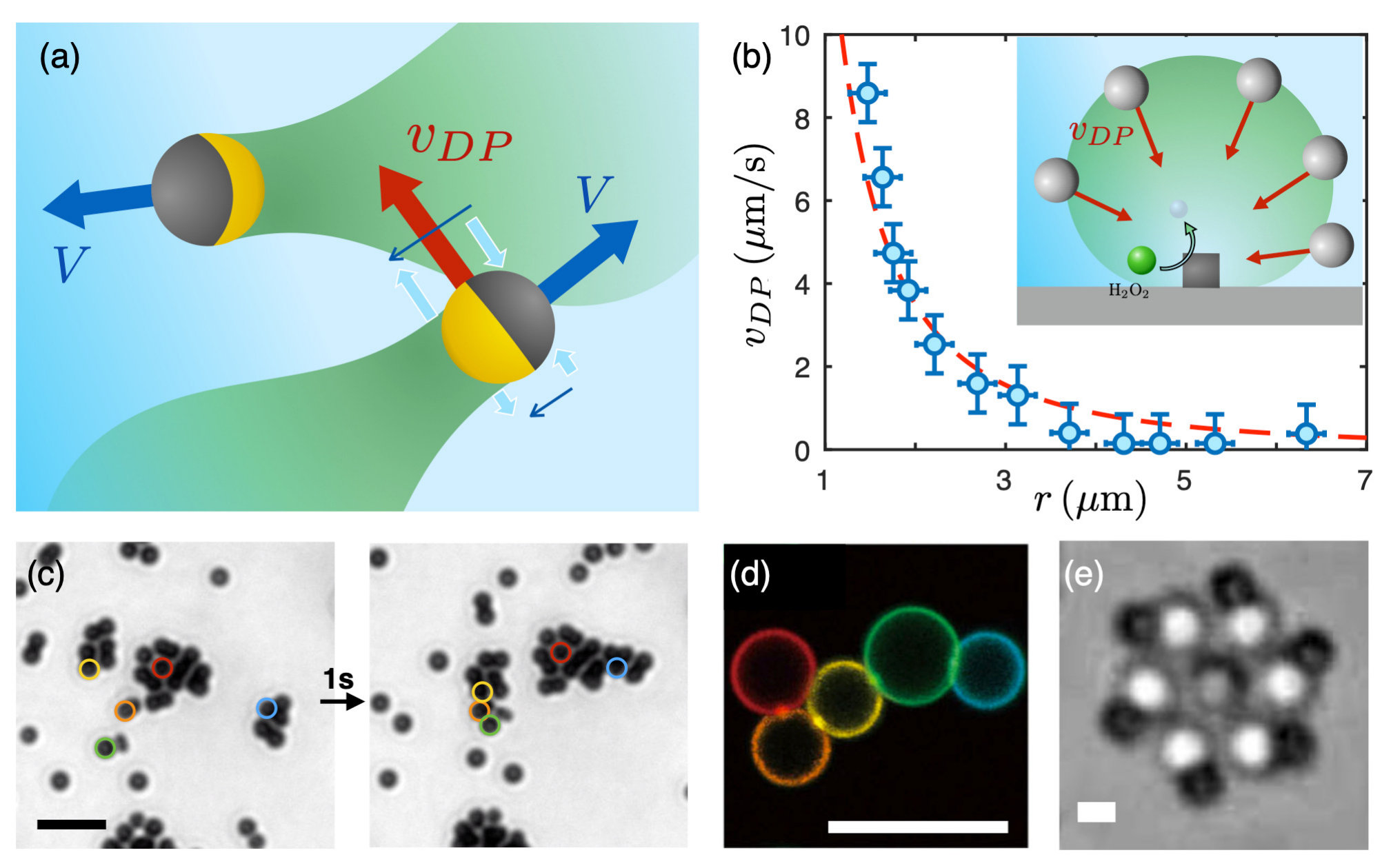 Figure 23