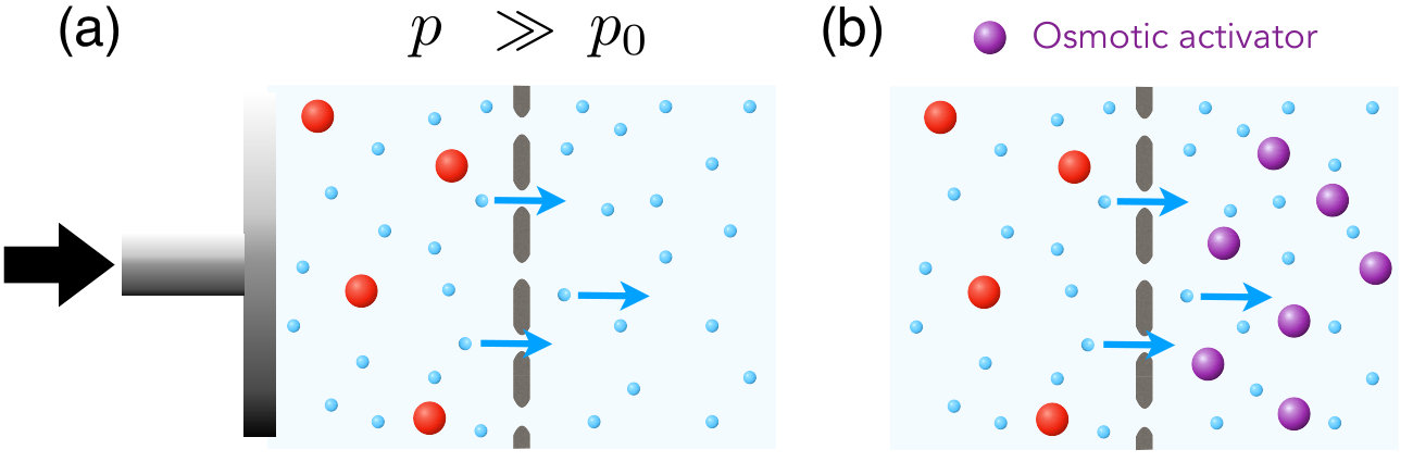 Figure 24