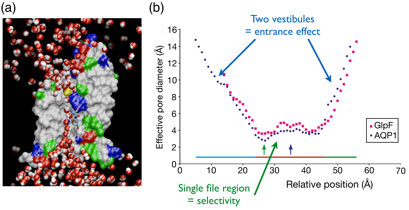 Figure 26