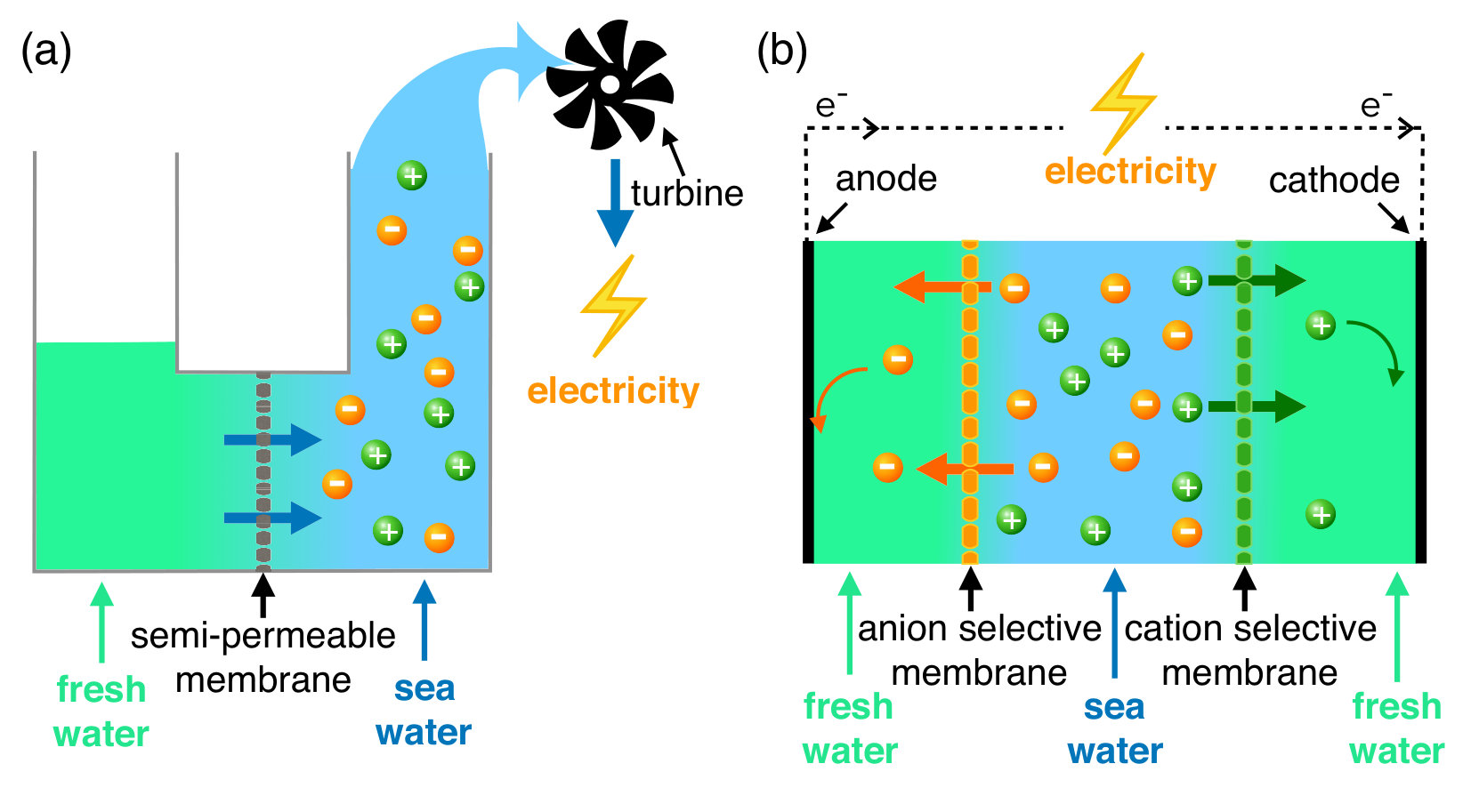 Figure 29