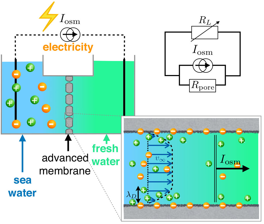 Figure 30