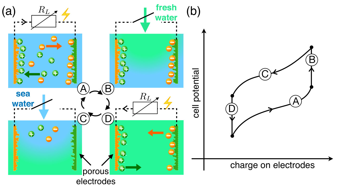 Figure 31