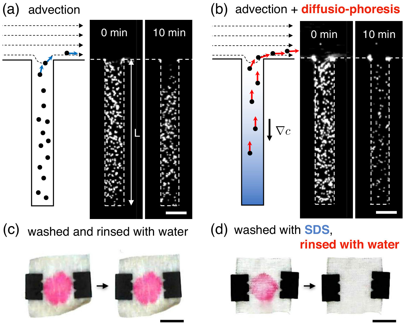 Figure 32