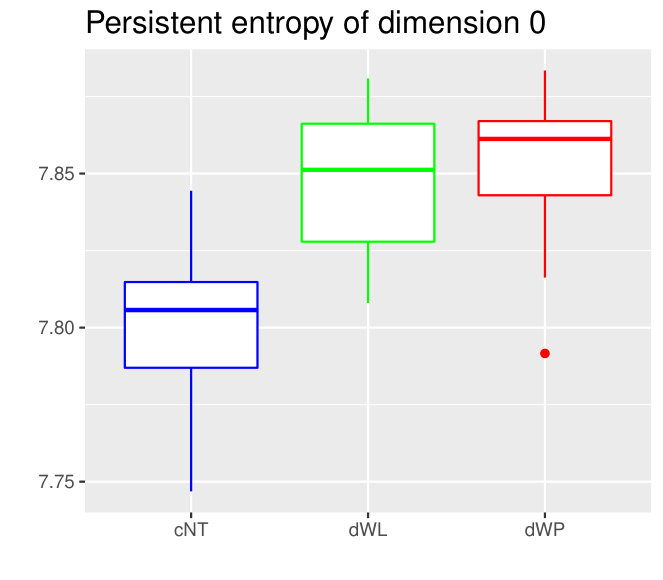 Figure 24