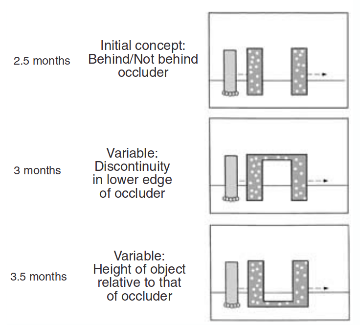 Figure 20