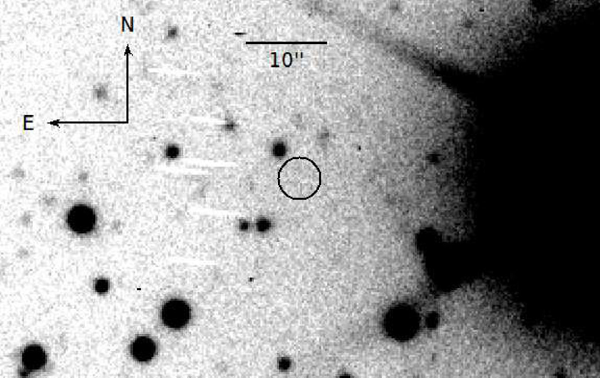 Figure 24