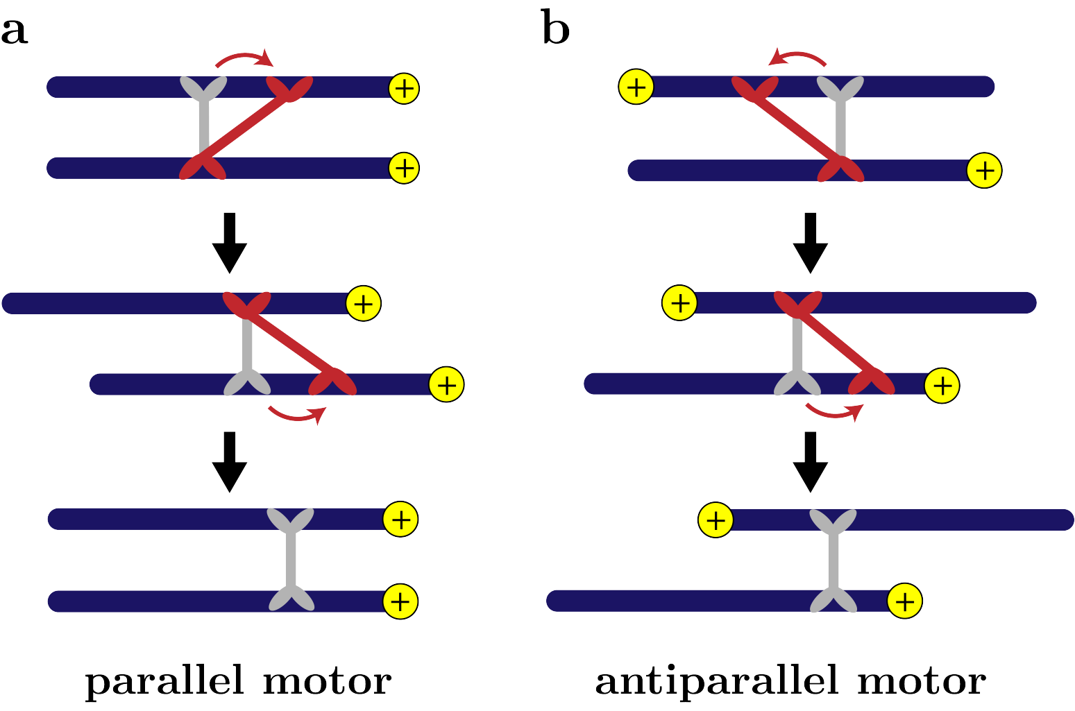 Figure 38